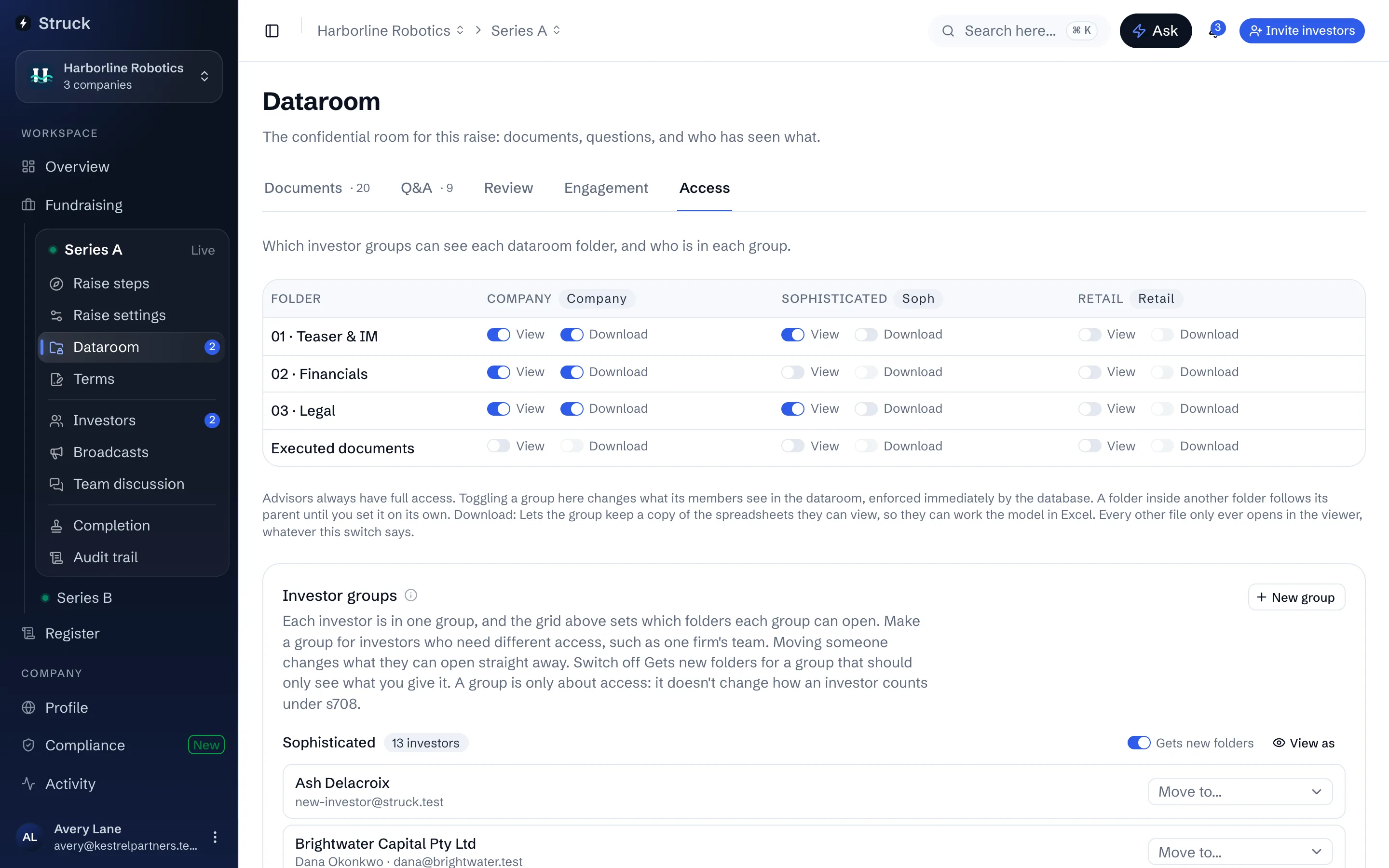 The Access tab: a grid of investor groups against folders, each cell with View and Download switches.